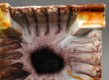 ashtray, unknown