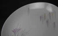Johann Haviland, tableware 