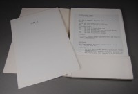 Les Nouveaux Fauves -  Die Neuen Wilden / Band II