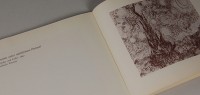 Vincent van Gogh - Landschaftszeichnungen