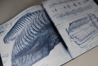 HR Gigers Filmdesign