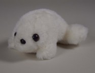 Seehundbaby