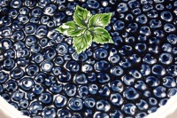 Tortenplatte Blaubeere